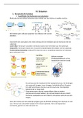 Modulle IV: enzymen