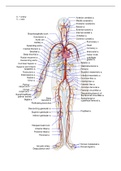 MK 2.1 cardiologie 