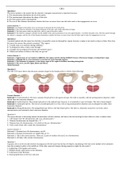 RNSG 1300 Test 1 OB question and answer