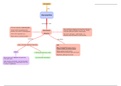 Vancomycin mindmap