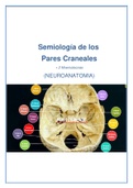 TE DOY MIS resumenes de NEUROANATOMIA (Promoción)