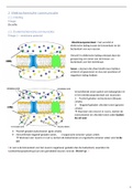 SV elektrochemische communicatie - super uitgebreid - module 3 sofia (Uhasselt)