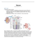 Samenvatting colleges Orgaansystemen Nieren