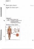 Pathophysiology for Nurses NOTES FROM TEXTBOOK Ch. 14 (NSG 3113)