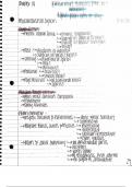 Health Assessment for Nursing Practice NOTES Ch.14 (NSG 3133)