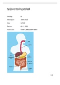 Tentamen (uitwerkingen) Spijsverteringstelsel  