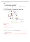 BIOS 256 Week 6 OL Lab 6; Male and female reproductive system