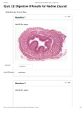 ANAT V01 Quiz 12 Digestive II Answers- College of the Canyons