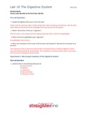 BIO 202L Lab 16 The Digestive System (TOP SCORE) Questions and Answer elaborations | 100% correct solution