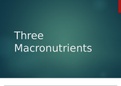 Rasmussen College NURSING : NUR1172Three Macronutrients A SCORE