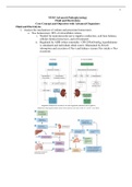 NURS 5315 - Fluid and Electrolytes Core Knowledge Objectives with Advanced Organizers. Study Guide.