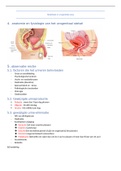 Samenvatting Verpleegkundige Methodiek En Vaardigheden 4 Hoofdsttuk 2: urogenitiale zorgen