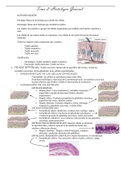 Histología de tejidos.