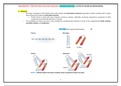 Protein Structure and function | Protein Structure