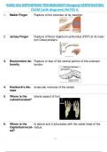 SURG 211 ORTHOPEDIC TECHNOLOGIST (Surgery) CERTIFICATION  EXAM (with diagrams) RATED A. 