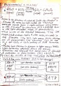 Bio_101_Class_Notes__Cyclic_and_Non_Cyclic_Pathways.