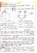 Bio_101_Class_Notes__Calvin_Benson_Cycle.