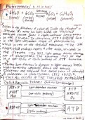 Bio_101_Class_Notes__Cyclic_and_Non_Cyclic_Pathways