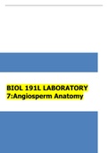 BIOL 191L LABORATORY 7:Angiosperm Anatomy | 2022 latest update 