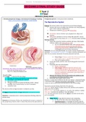 NURSING 306 OB Exam 2 Study Guide OB Hartman GOLD, A+ Guide - West Coast University.