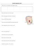 Questions for the Gastro Intestinal System (GIT) 