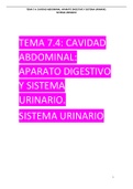 Tema 7.3: Sistema Urinario