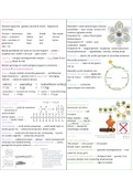 Mindmap scheikunde hoofdstuk 5 metalen en kunststoffen