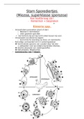 Samenvatting  Toegepaste Dierkunde: sporediertjes