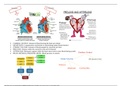   EXIT N493  Quiz 1 part 2. Study Guide