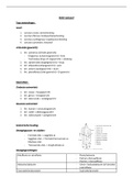 Fysiotherapie jaar 1 Gezondheid BOKS (kort uitgewerkt) 