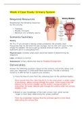 BIOS 256 Week 4 Case Study-Urinary System