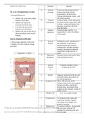 BIOS251 OL, Week 4 Lab OL Lab 4: Integumentary system