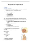 Samenvatting Gastro-enterologie