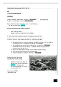 Samenvatting H2, 9 en 10 Geschiedenis HAVO 5 MEMO 1e en 2e wereldoorlog 