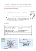 Samenvatting Moleculaire Genetica (B-KUL-Eo6C1A)