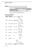 Metabolismo de los carbohidratos