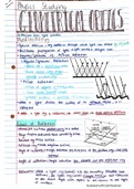 Gr11 Geometric Optics