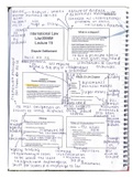 Dispute Settlement in International Law