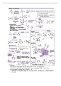 Exam Two Preclass Video Notes