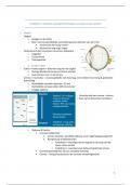 Samenvatting oftalmologie