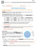 Anna Margaret Loftus - Nuclear Decay Gizmo (1)