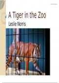 A Tiger in the Zoo (Poem) – by Leslie Norris – PPT - CBSE – NCERT - Class 10 – English – Book : The First Flight - Chapter 3 