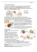 Samenvatting Biologie Hoofdstuk 13 Zenuwstelsel &Hoofdstuk 14 Waarnemen