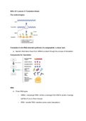 Into to DNA and RNA 