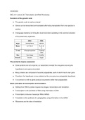 Transcription and RNA processing 