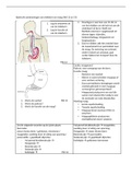 Samenvatting Traject V&V - Ziekenhuis 1 niveau 4 Theorieboek