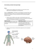 Uitgebreide samenvatting Neuropsychologie voor Pedagogen