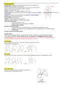 Samenvatting artrokinematica next 2/ module 2