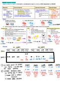 Molecular Biology (BIMM 100) Final Exam ALL Experiments