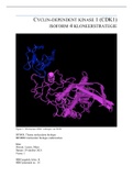 CDK1 isoform 4 kloneringsstrategie 